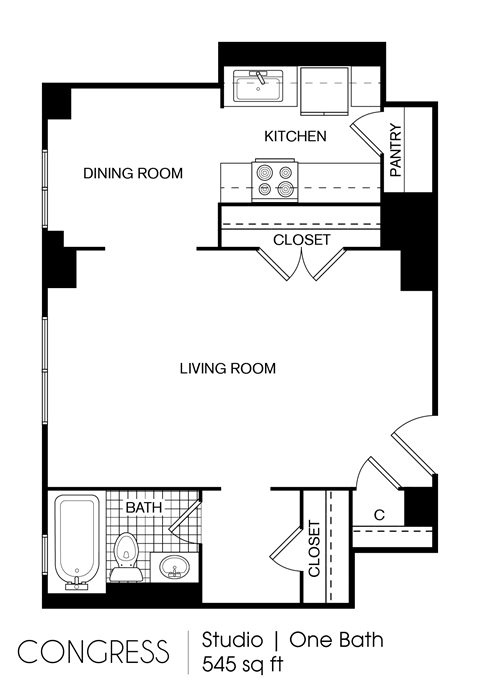 Floor plan for studio, 1 bath, 545 sqft